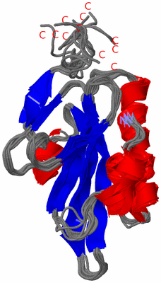 Image NMR Structure - all models