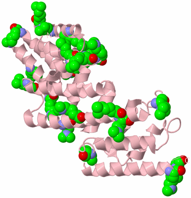 Image Biological Unit 3