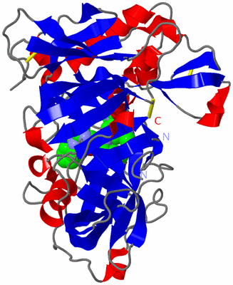 Image Asym./Biol. Unit