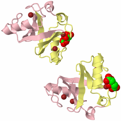 Image Biological Unit 2