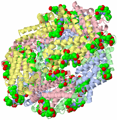 Image Biological Unit 1