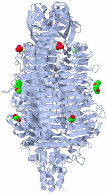 Image Biological Unit 1