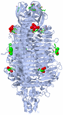 Image Biol. Unit 1 - sites