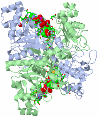 Image Asym./Biol. Unit - sites