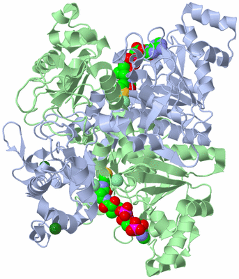 Image Asym./Biol. Unit