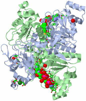 Image Asym./Biol. Unit - sites