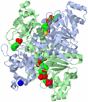 Image Asym./Biol. Unit