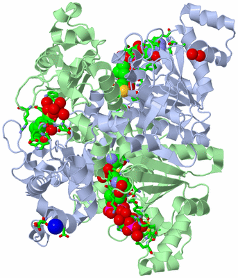 Image Asym./Biol. Unit - sites