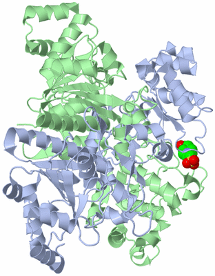 Image Asym./Biol. Unit