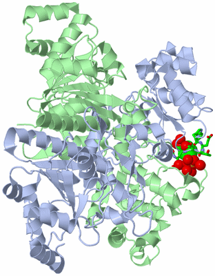 Image Asym./Biol. Unit - sites