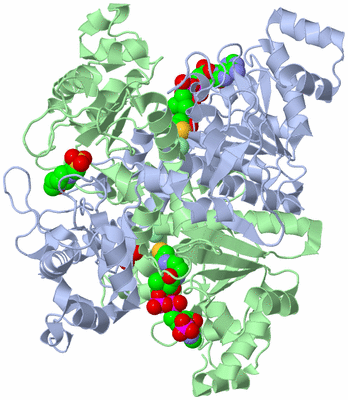 Image Asym./Biol. Unit