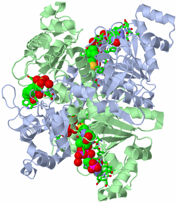 Image Asym./Biol. Unit - sites