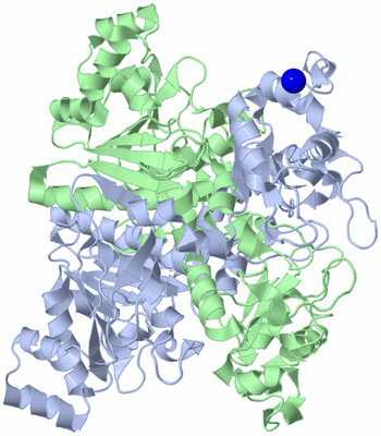 Image Asym./Biol. Unit