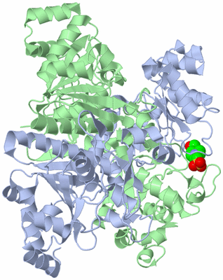 Image Biological Unit 1