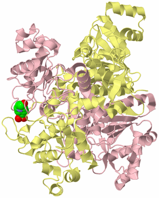 Image Biological Unit 2