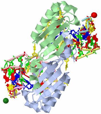 Image Asym./Biol. Unit - sites