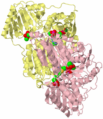 Image Biological Unit 2