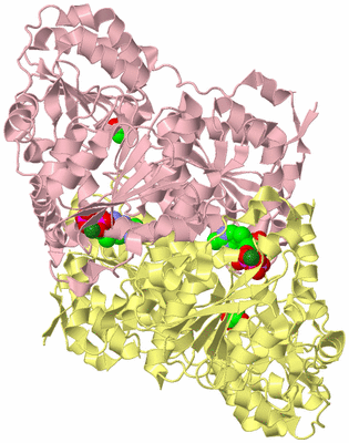 Image Biological Unit 2