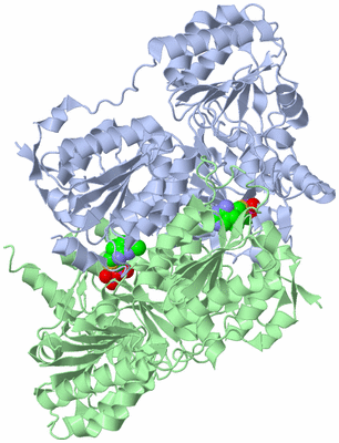 Image Biological Unit 1