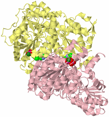 Image Biological Unit 2