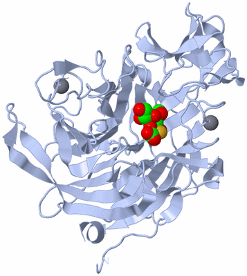 Image Biological Unit 1