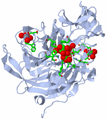 Image Biol. Unit 1 - sites