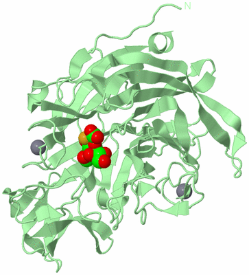 Image Biological Unit 2