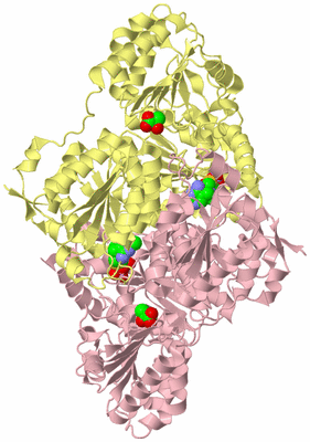 Image Biological Unit 2