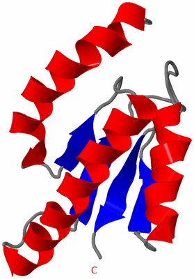 Image NMR Structure - model 1