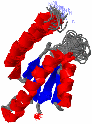 Image NMR Structure - all models