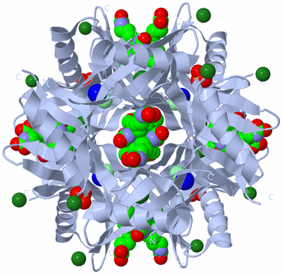 Image Biological Unit 1