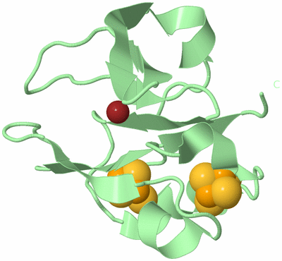 Image Biological Unit 2