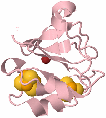 Image Biological Unit 3