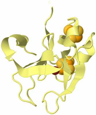 Image Biological Unit 4