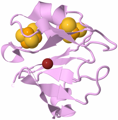 Image Biological Unit 5