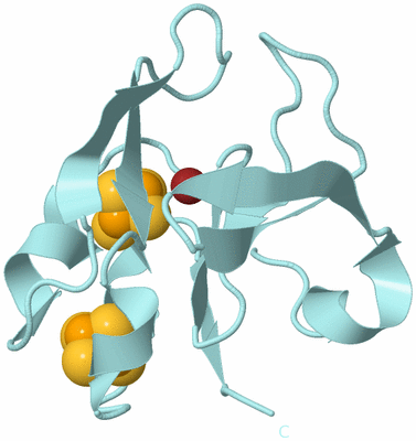 Image Biological Unit 6