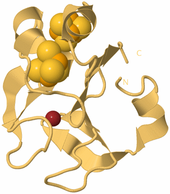 Image Biological Unit 7