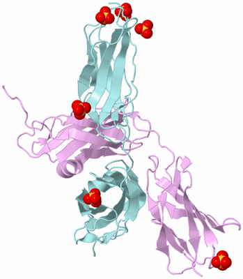 Image Biological Unit 3