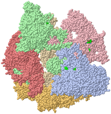 Image Asym./Biol. Unit - sites