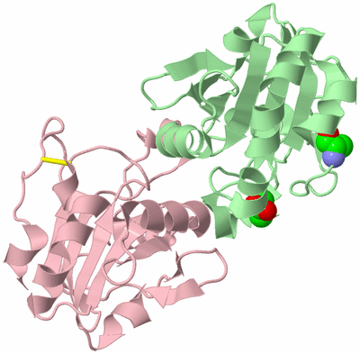 Image Biological Unit 2