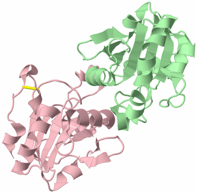 Image Biological Unit 2