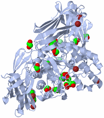 Image Biological Unit 1