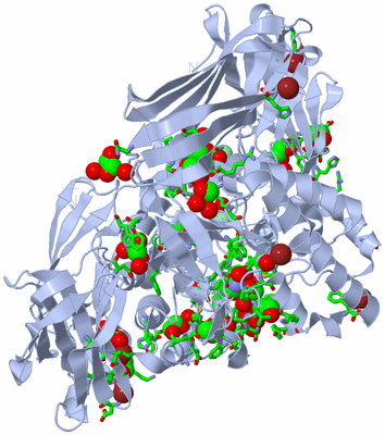 Image Biol. Unit 1 - sites