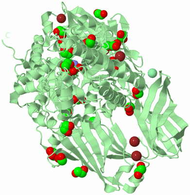 Image Biological Unit 2