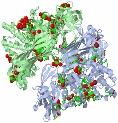 Image Asym. Unit - sites