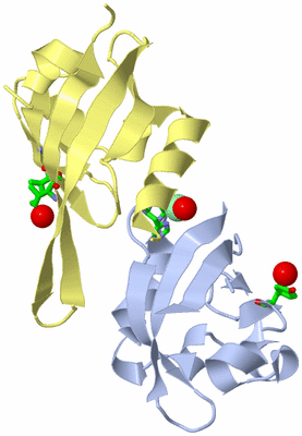 Image Biol. Unit 1 - sites