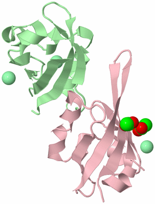 Image Biological Unit 2