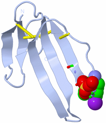 Image Biol. Unit 1 - sites