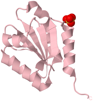 Image Biological Unit 3