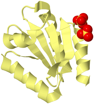 Image Biological Unit 4